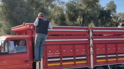 Aydın'ın Karpuzlu ilçesinde, İlçe Tarım ve Orman Müdürlüğü ve jandarma