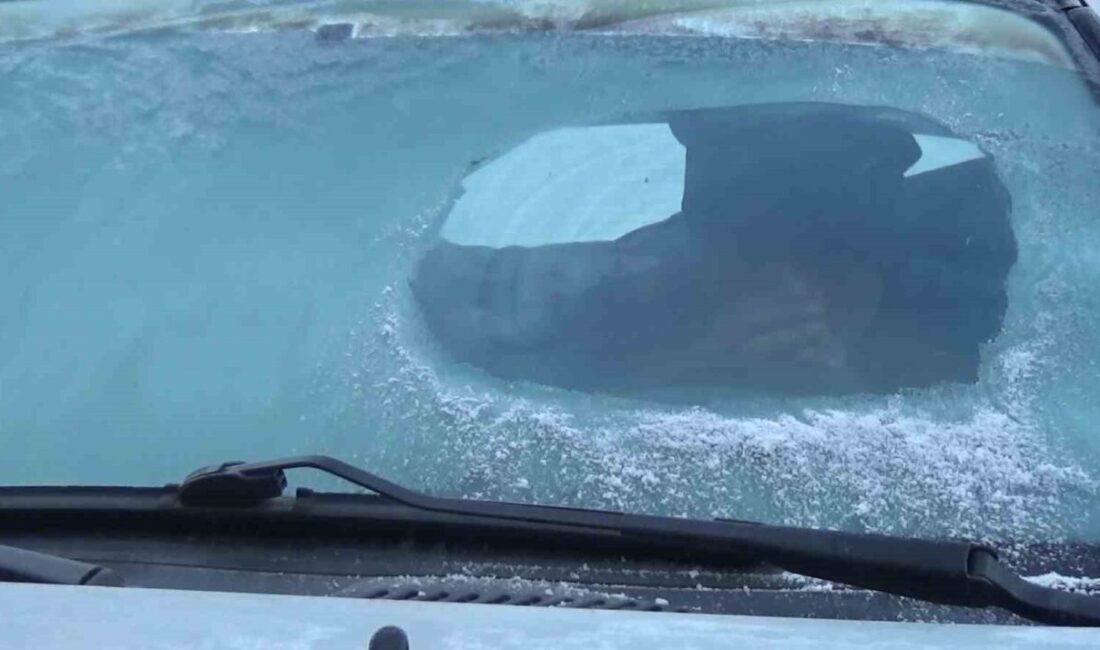 Kars'ta hava sıcaklıkları sıfırın altına düşerek kışın sert yüzünü gösterdi.