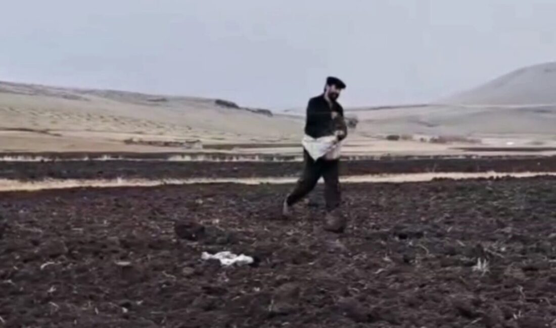 Kars'ta kuraklığa dayanıklı tohumların tanıtımı ve güzlük ekim uygulamalarının yaygınlaştırılması