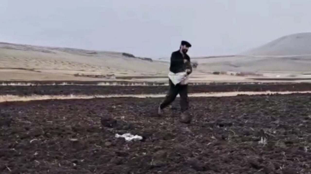 Kars'ta kuraklığa dayanıklı tohumların tanıtımı ve güzlük ekim uygulamalarının yaygınlaştırılması