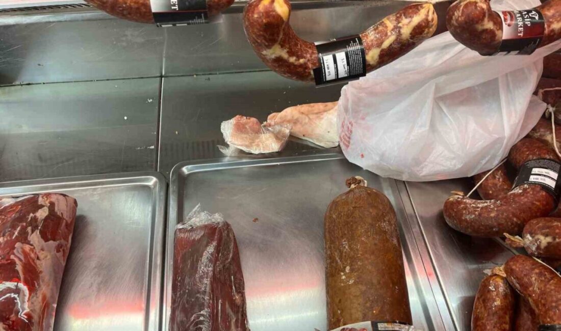 Bilecik Belediyesi Zabıta Müdürlüğü, halkın sağlık ve güvenliğini korumak amacıyla