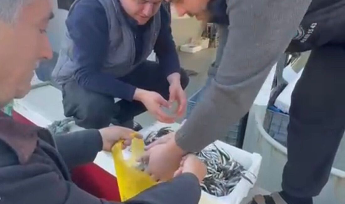 Balıkçılar, Erdek’te Yüksek Fiyatları Protesto Ederek Ücretsiz Hamsi Dağıttı Balıkesir'in Erdek ilçesindeki Paşalimanı Adası'ndaki balıkçılar, yüksek balık fiyatlarını protesto