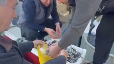 Balıkesir'in Erdek ilçesindeki Paşalimanı Adası'ndaki balıkçılar, yüksek balık fiyatlarını protesto