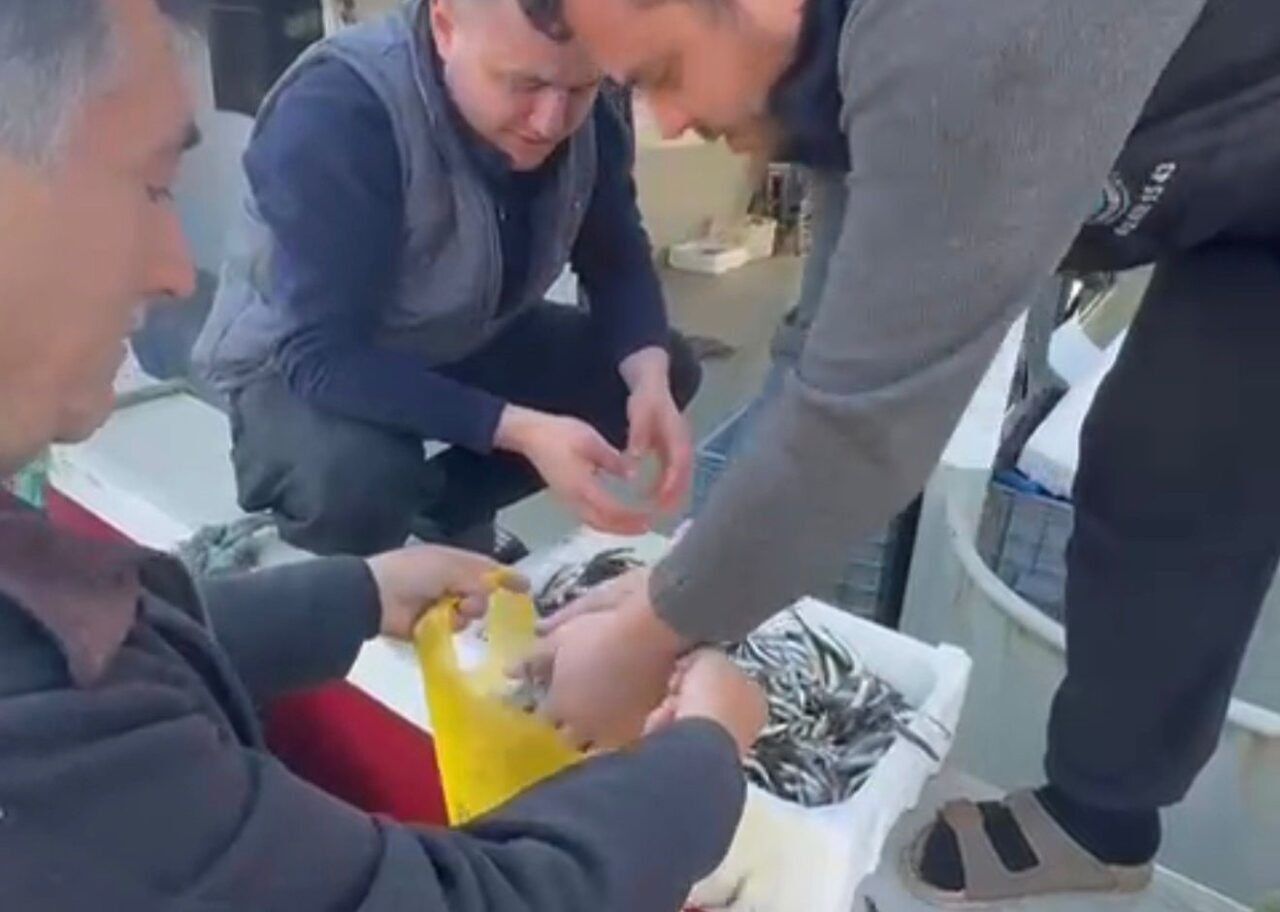 Balıkesir'in Erdek ilçesindeki Paşalimanı Adası'ndaki balıkçılar, yüksek balık fiyatlarını protesto