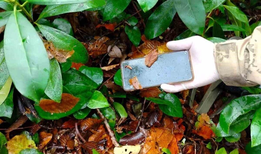 Kastamonu'nun Bozkurt ilçesinde kaybolan Huriye Helvacı ve oğlu Osman Helvacı'nın