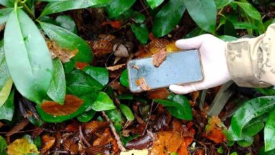 Kastamonu'nun Bozkurt ilçesinde kaybolan Huriye Helvacı ve oğlu Osman Helvacı'nın