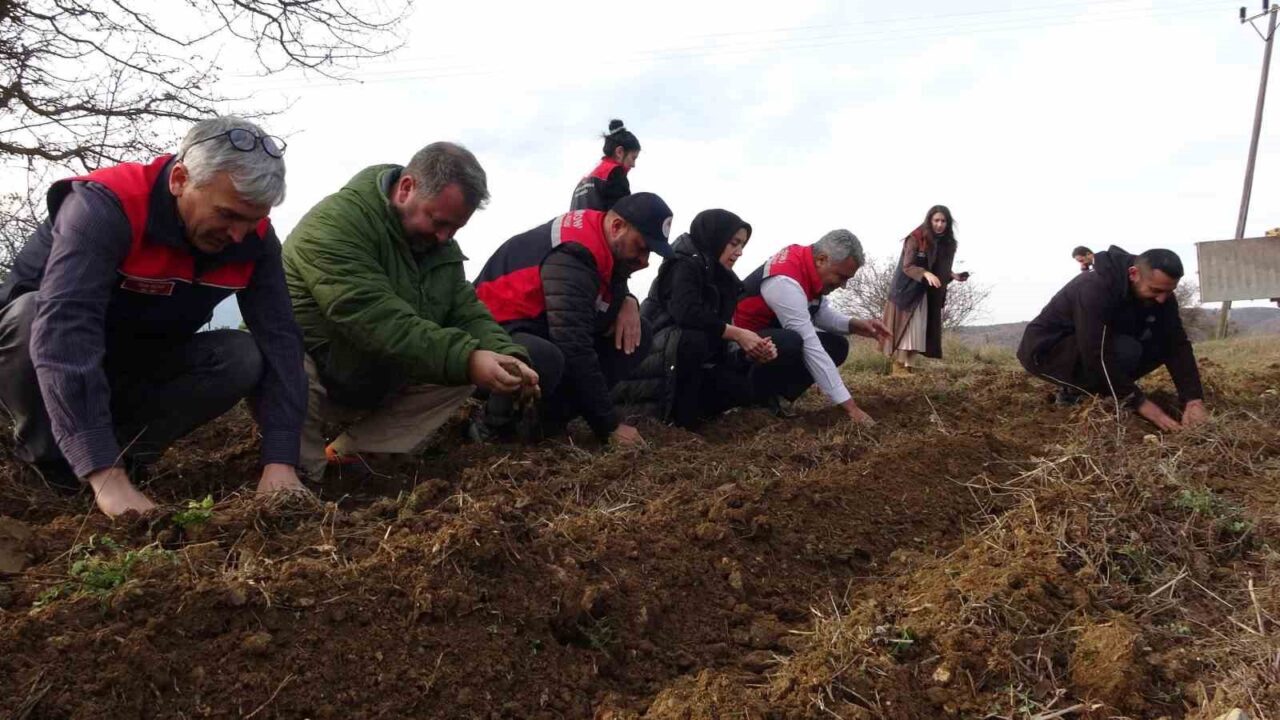 Kastamonu Üniversitesi, "Tıbbi ve Aromatik Bitkilerin Ekonomiye Kazandırılması" projesi çerçevesinde