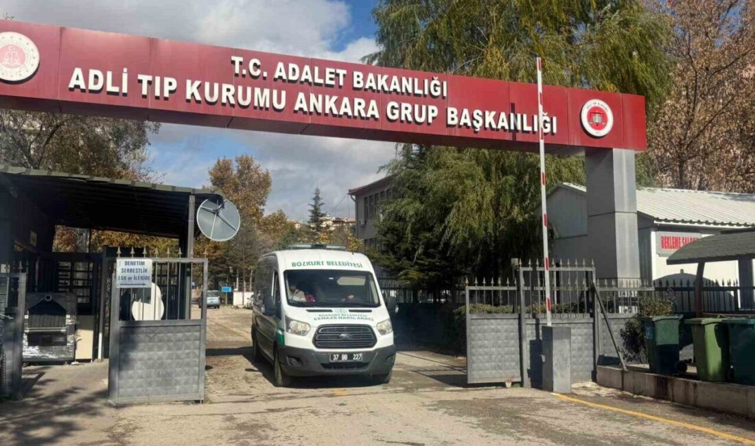 Kastamonu'nun Bozkurt ilçesinde kaybolan Huriye Helvacı ve oğlu Osman Yaşar