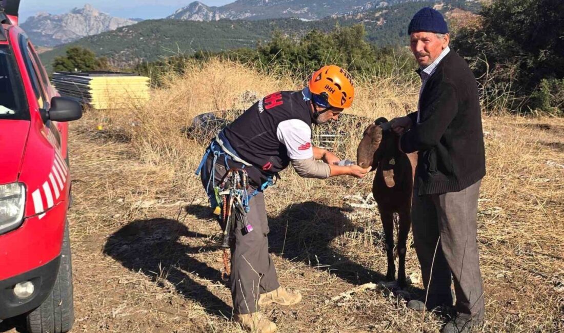 Antalya'nın Korkuteli ilçesinde, kaya oyuğuna düşen bir keçi, arama kurtarma