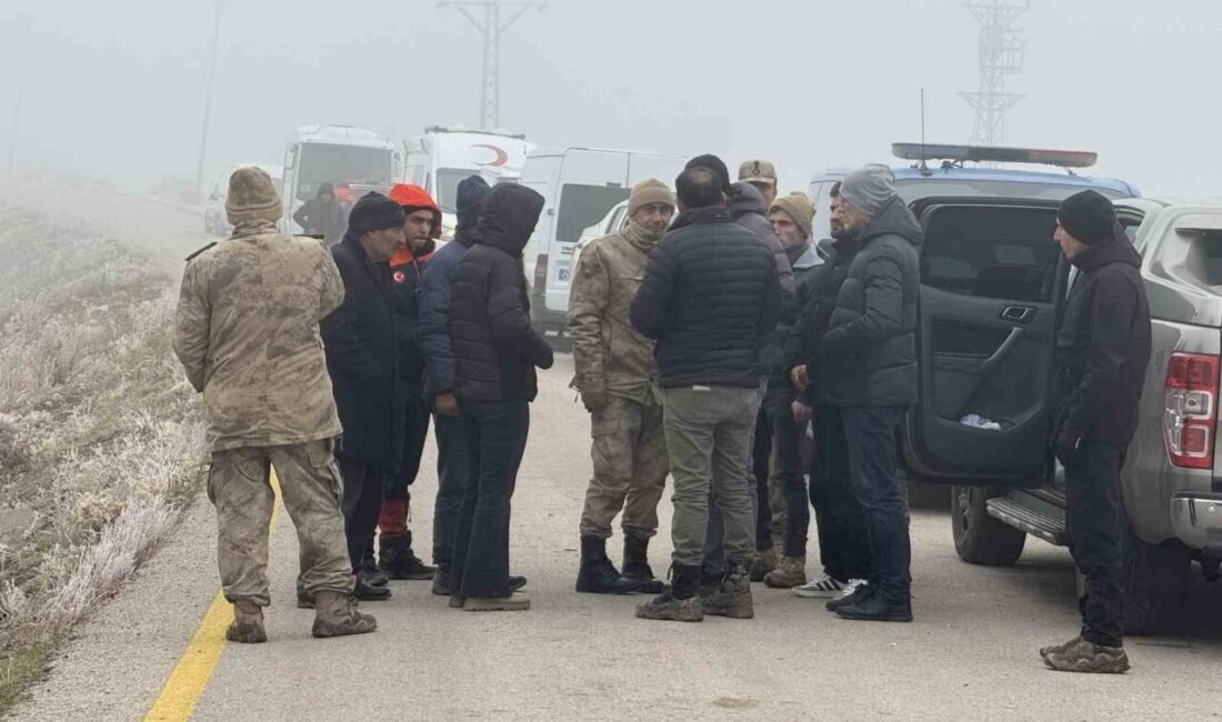 Erzurum'da 160 koyunu otlatan 73 yaşındaki çoban Abdurrahman Kansu, akşam