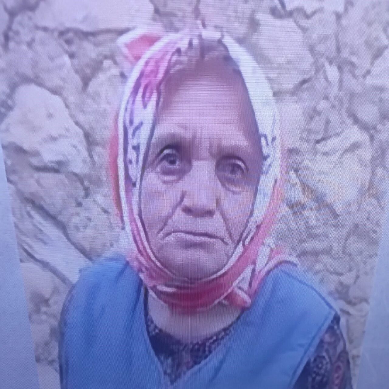 Çankırı'nın Bayramören ilçesinde 82 yaşındaki Behiye Yavuz, mantar toplamak amacıyla