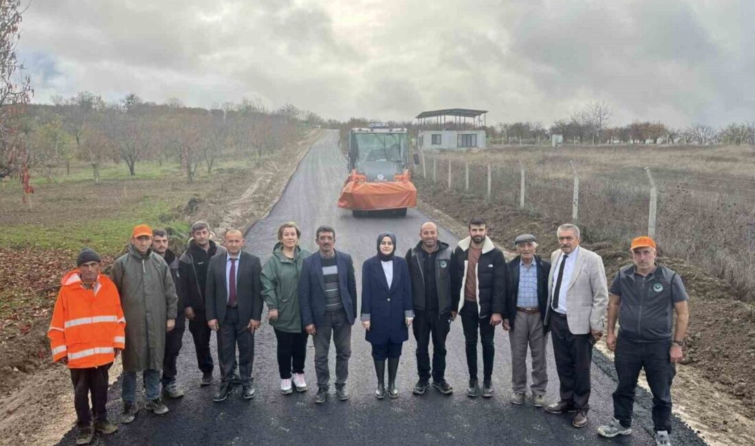 Gölpazarı Kaymakamı Feyza Nur Kılıç, Gökçeözü Köyü'ndeki yol çalışmalarını yerinde