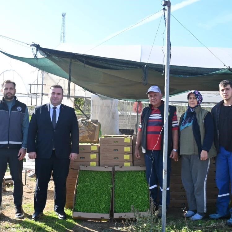 Bilecik'in İnhisar ilçesinde, çiftçilerin üretim kapasitesini artırmak için sertifikalı buğday