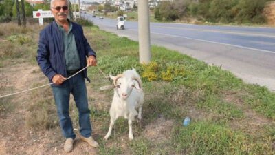 Çorum'dan Didim'e tatile gelen 71 yaşındaki Aslan Arslan, köy hayatını