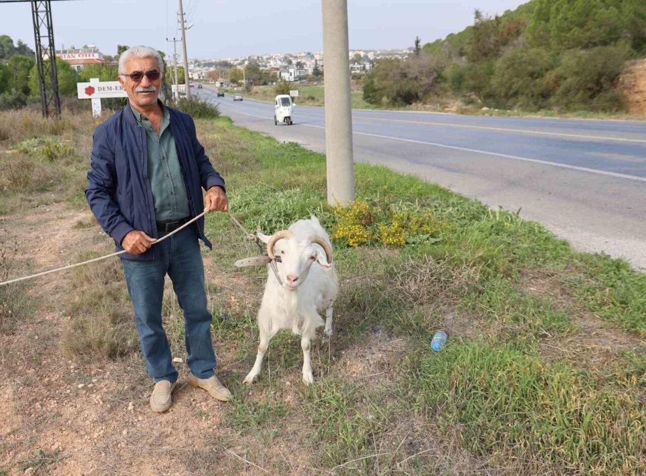 Çorum'dan Didim'e tatile gelen 71 yaşındaki Aslan Arslan, köy hayatını