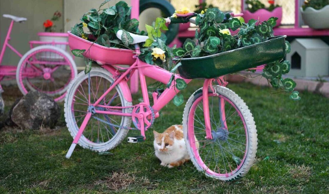 Kayseri Büyükşehir Belediyesi, Dr. Memduh Büyükkılıç yönetiminde Beştepeler'de 2009'dan bu