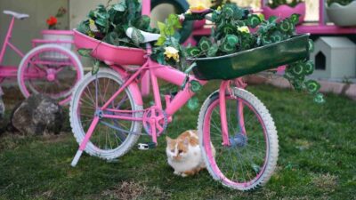 Kayseri Büyükşehir Belediyesi, Dr. Memduh Büyükkılıç yönetiminde Beştepeler'de 2009'dan bu