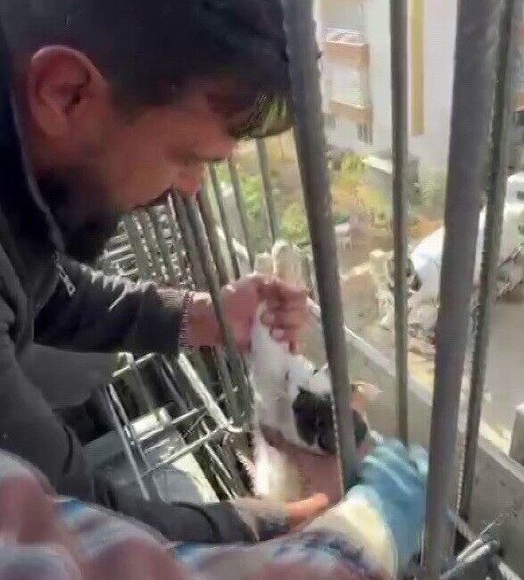 Adıyaman'da inşaatta kiriş demirleri arasında mahsur kalan kedi, işçilerin dikkatini