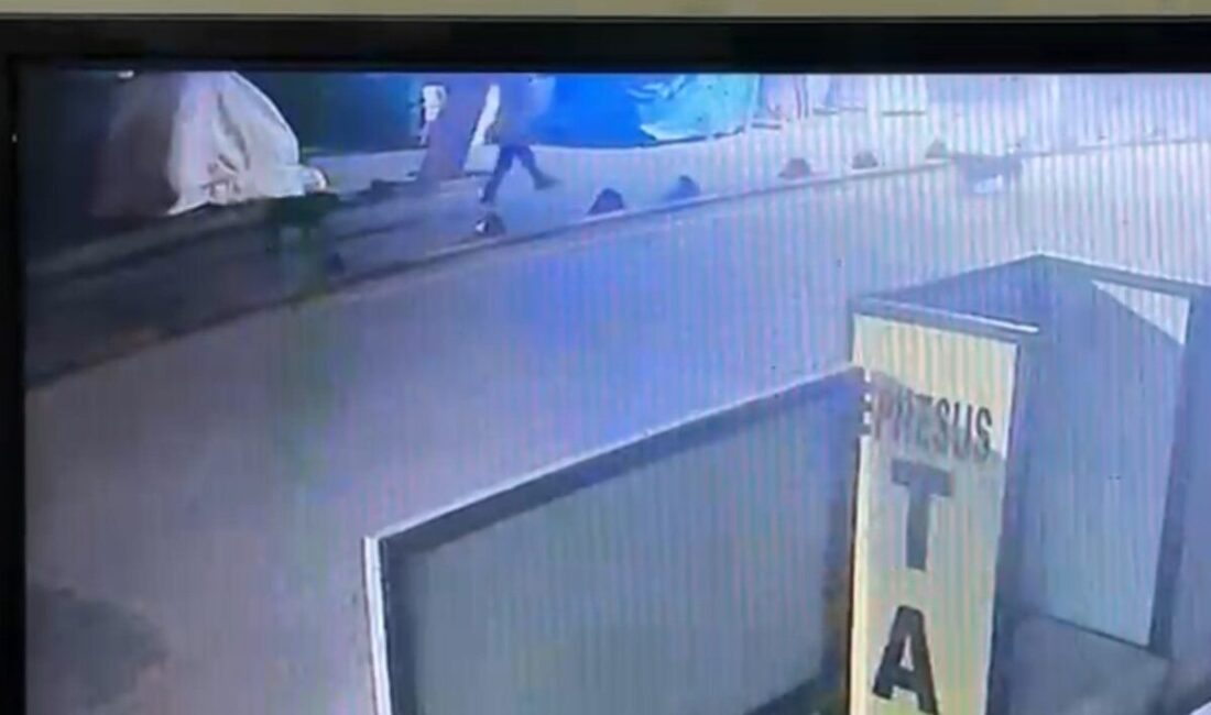 Kuşadası’nda Sokak Köpeğini Vuran Emekli Asker Serbest Bırakıldı Kuşadası'nda emekli astsubay Murat G., kendisine saldırdığı iddiasıyla bir sokak