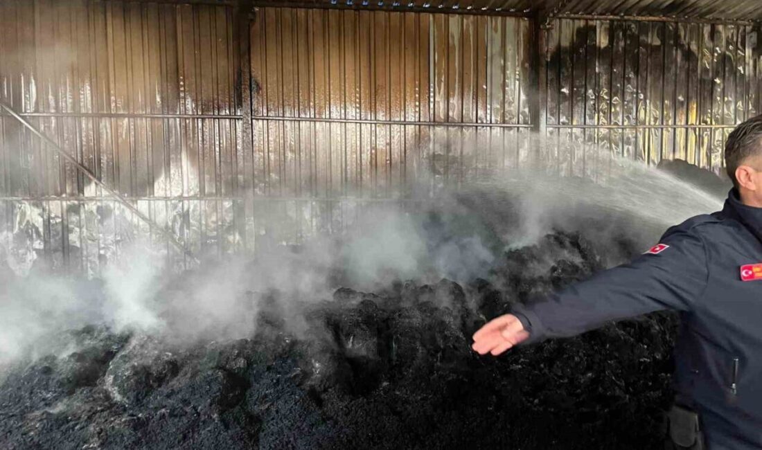 Edirne’nin Keşan ilçesine bağlı Gökçetepe köyündeki bir depoda çıkan yangında