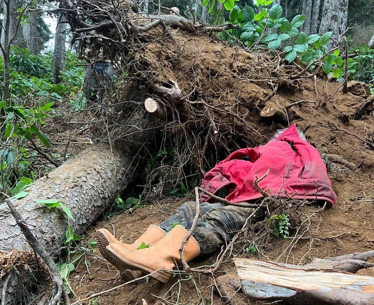 Trabzon'un Vakfıkebir ilçesindeki Karadağ Yaylası'nda, ağaç keserken devrilen ağaç altında