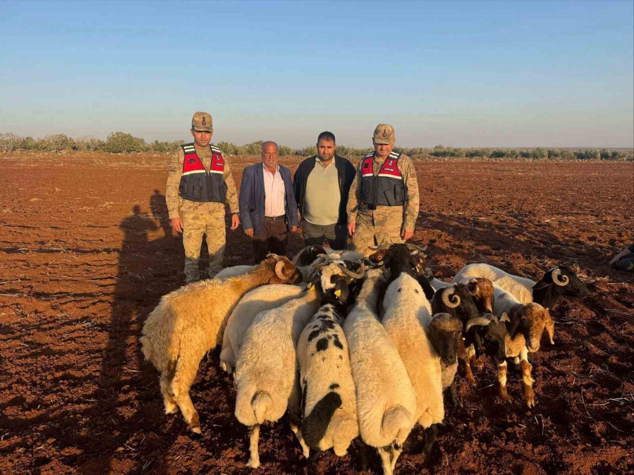 Kilis'te 23 Kasım 2025'te kaybolan 19 küçükbaş hayvan, C.D.'nin jandarmaya