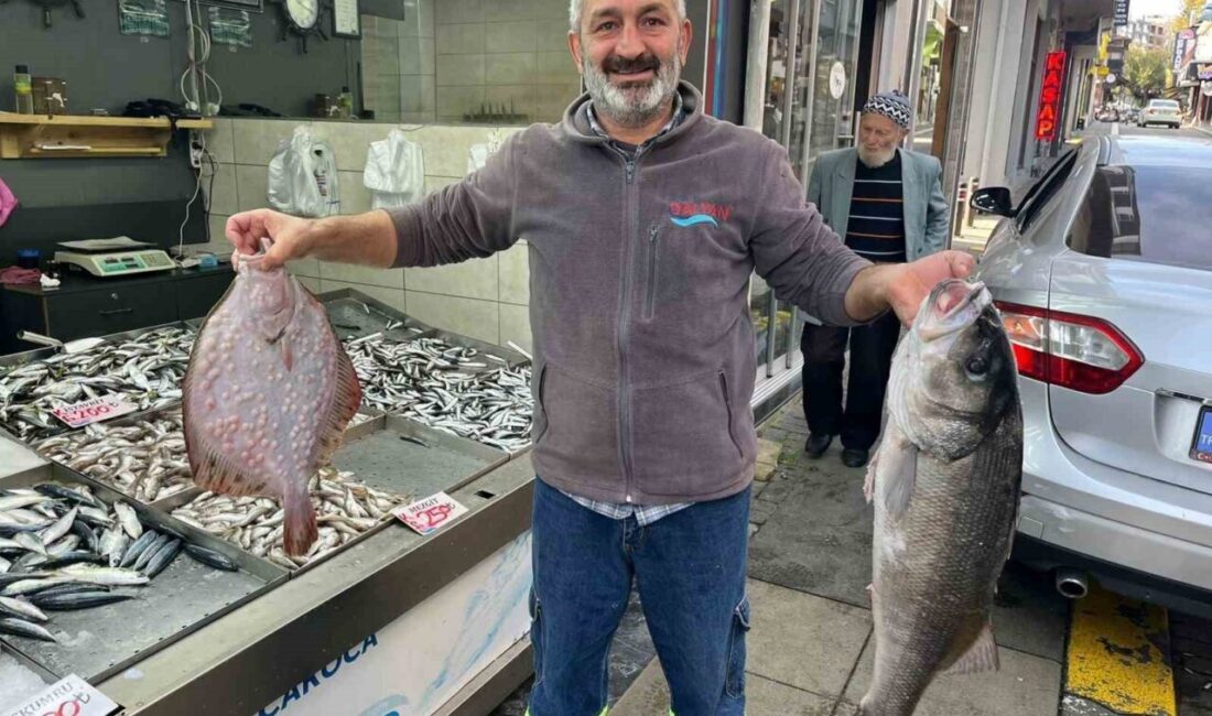 Akçakoca’da Yakalanan 7,5 Kilogramlık Levrek ve 2,5 Kilogramlık Kalkan Balığı Bin Liradan Satışa Çıktı Düzce'nin Akçakoca ilçesinde avlanan 7,5 kilogramlık levrek ve 2,5 kilogramlık