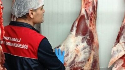 Kırklareli'nin Vize ilçesinde, Tarım ve Orman Müdürlüğü'ne bağlı ekipler, et