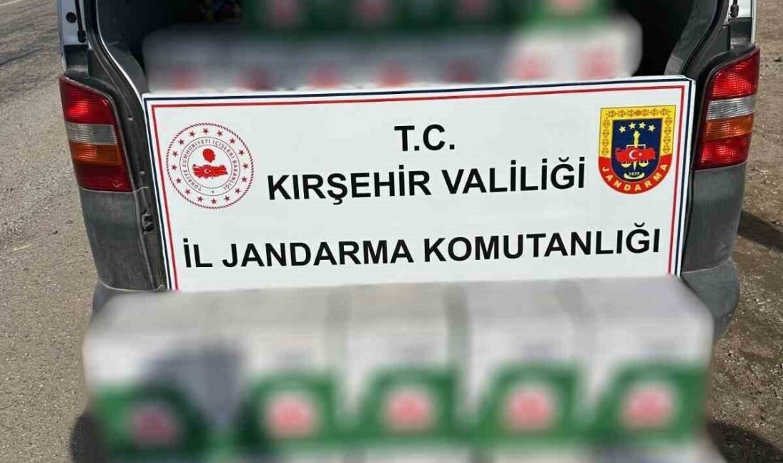 Kırşehir'de Jandarma, gerçekleştirdiği denetimlerde 700 kilo sahte temizlik ürünü ele