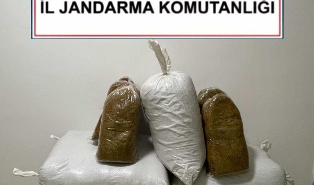 Kırşehir’de Jandarma Ekipleri, Adıyaman’dan Kaçak Tütün Taşıyan Şahsı Yakaladı Kırşehir'de Jandarma ekipleri, V.G. isimli 35 yaşındaki şahsın Adıyaman'dan kaçak