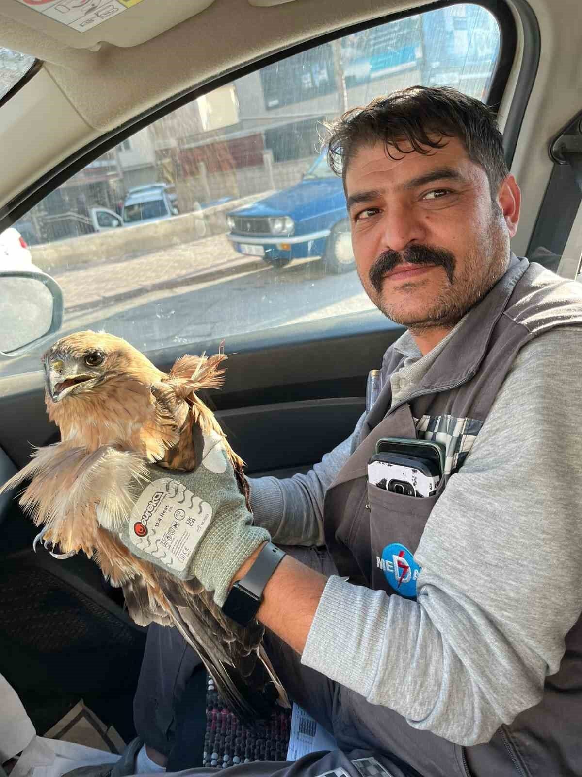 Kırşehir'de bir vatandaş, görev sırasında yaralı bir şahin buldu. Güvenliğini