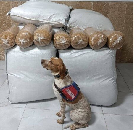 Kırşehir İl Jandarma Komutanlığı, Kayseri–Kırşehir karayolunda yaptığı yol kontrolünde bir