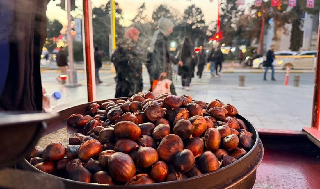 Erzincan'da havaların soğumasıyla birlikte kestane tezgahları yeniden winklemeye başladı. Kestaneciler,
