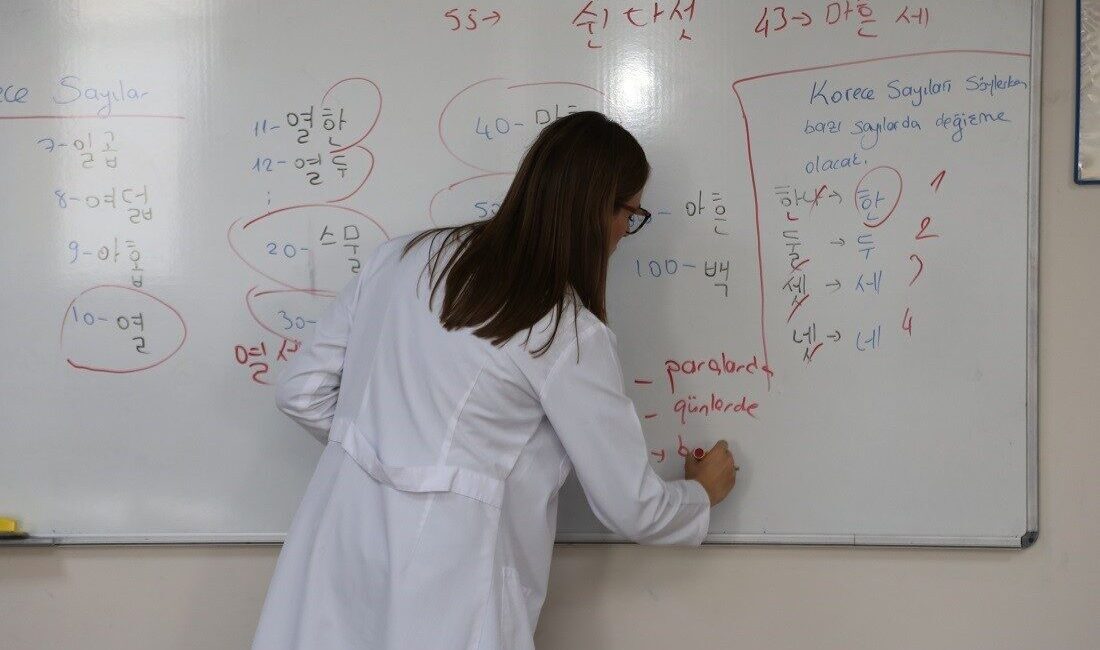 Kocaeli Büyükşehir Belediyesi Meslek ve Sanat Eğitimi Kursları (KO-MEK), kariyer