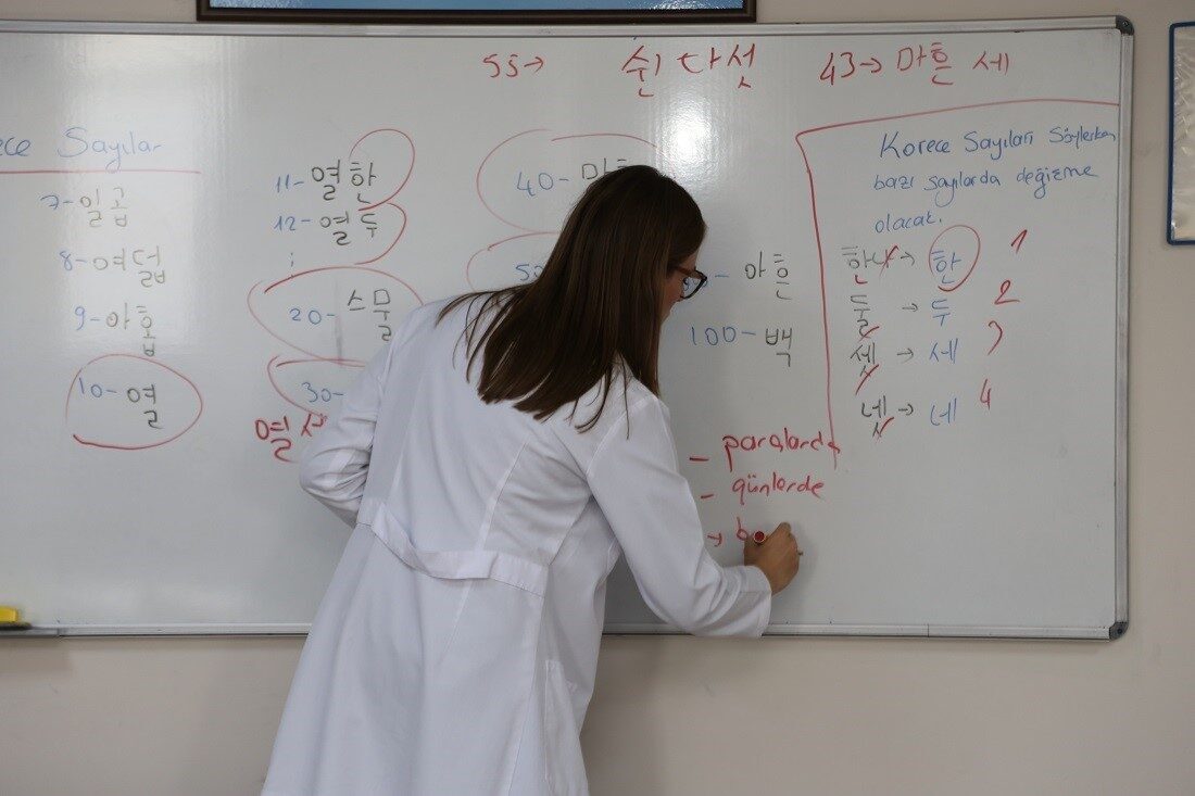 Kocaeli Büyükşehir Belediyesi Meslek ve Sanat Eğitimi Kursları (KO-MEK), kariyer