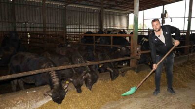 Kocaeli Büyükşehir Belediyesi, Tarım ve Orman Bakanlığı'nın "Halk Elinde Anadolu