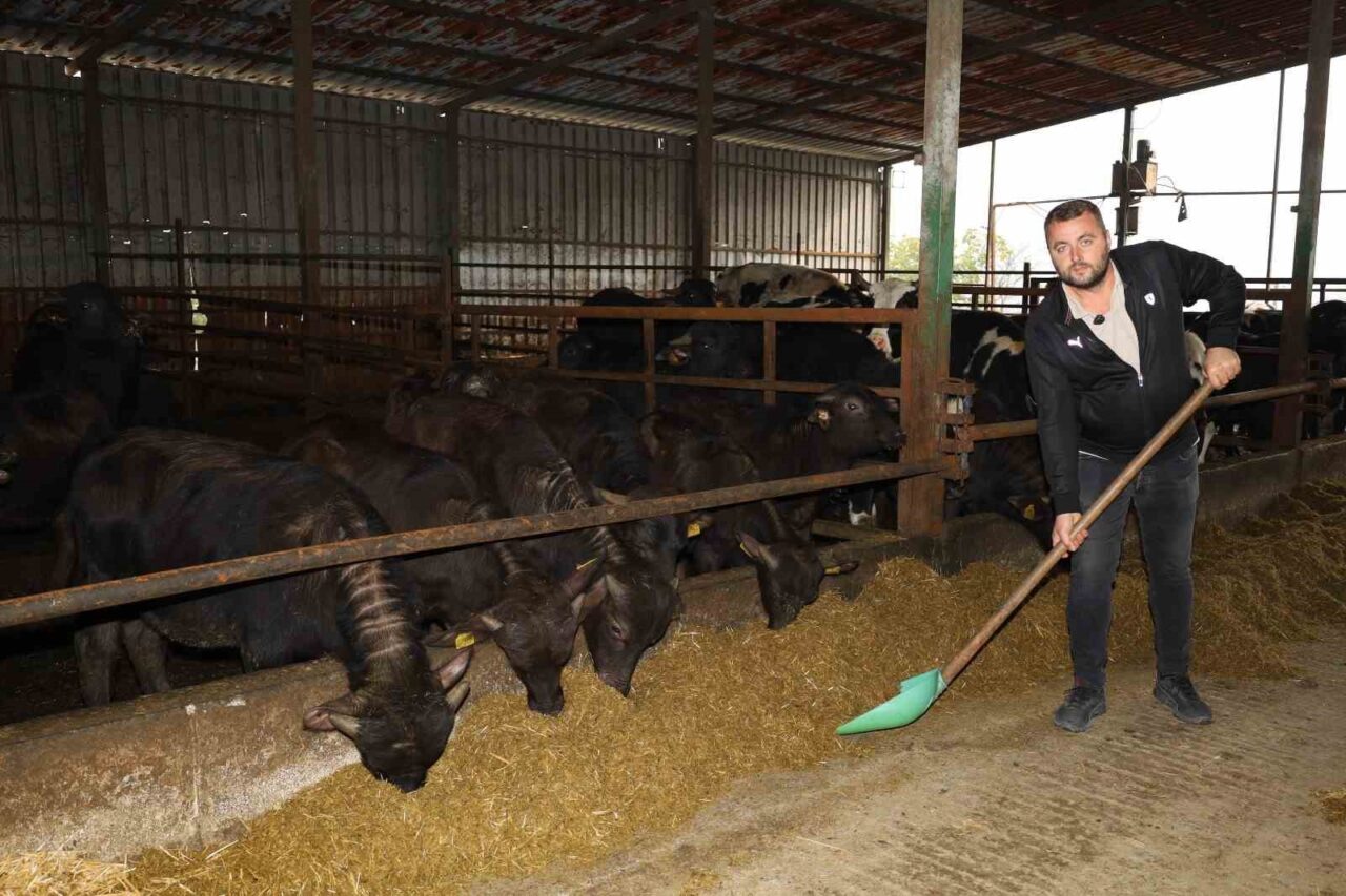 Kocaeli Büyükşehir Belediyesi, Tarım ve Orman Bakanlığı'nın "Halk Elinde Anadolu