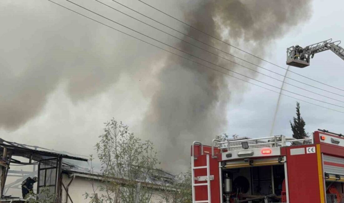 Kocaeli'nin Çayırova ilçesinde, mutfak ve banyo tezgahları üreten bir tesiste
