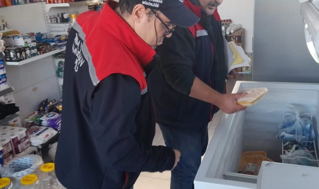 Aydın’ın Koçarlı ilçesinde gıda güvenliğini sağlamak amacıyla denetimler devam ediyor.