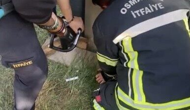 Osmaniye'de bir yavru kedi, konteyner ile duvar arasına sıkıştı. Vatandaşların