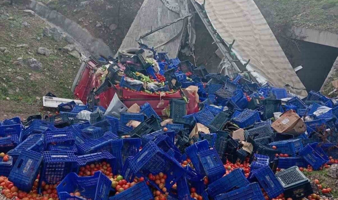 Bilecik’te sebze yüklü tırın devrilmesi sonucu sürücü yaralandı Bilecik'in Osmaneli ilçesinde M.Y. (32) yönetimindeki sebze yüklü tır, D-650