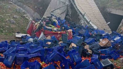 Bilecik'in Osmaneli ilçesinde M.Y. (32) yönetimindeki sebze yüklü tır, D-650