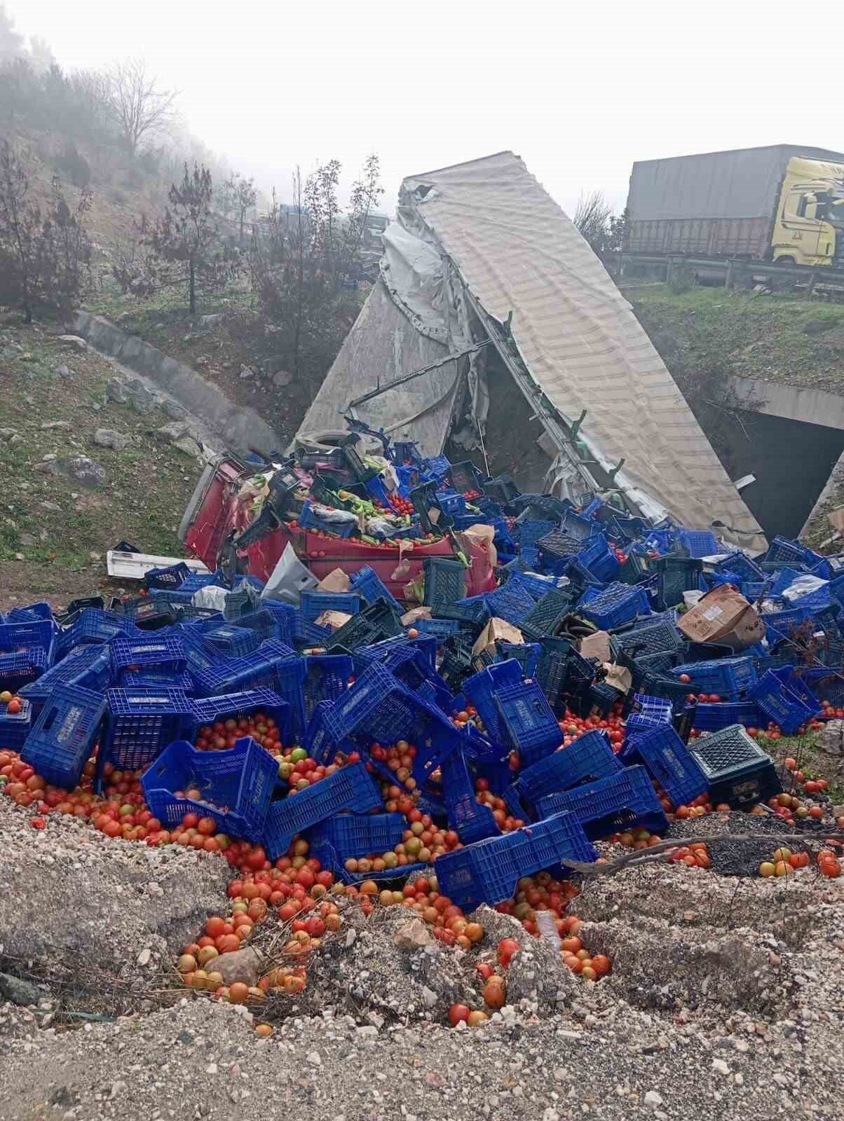 Bilecik'in Osmaneli ilçesinde M.Y. (32) yönetimindeki sebze yüklü tır, D-650