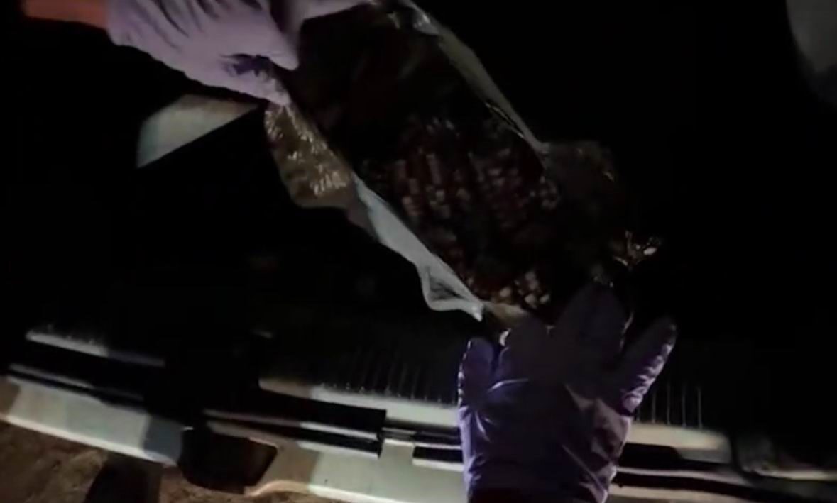 Konya'nın Ereğli ilçesinde gerçekleştirilen jandarma operasyonunda 1.915 sentetik ecza hapı