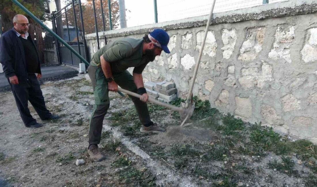 Ömer Özer, Orman Yangınlarına Dikkat Çekmek İçin 77. İlde Fidan Dikti Ömer Özer, orman yangınlarına dikkat çekmek amacıyla 2021’de başladığı "81