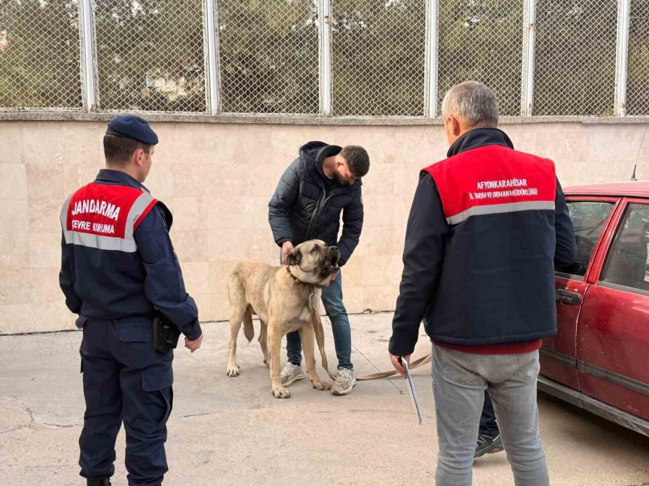 Afyonkarahisar’da Jandarma, Dron ile Köpek Dövüşçülerini Yakaladı
