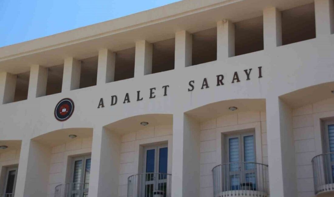 Muğla'nın Bodrum ilçesinde bir kişi, Gümüşlük Mahallesi'nde yavru köpeklere tüfekle