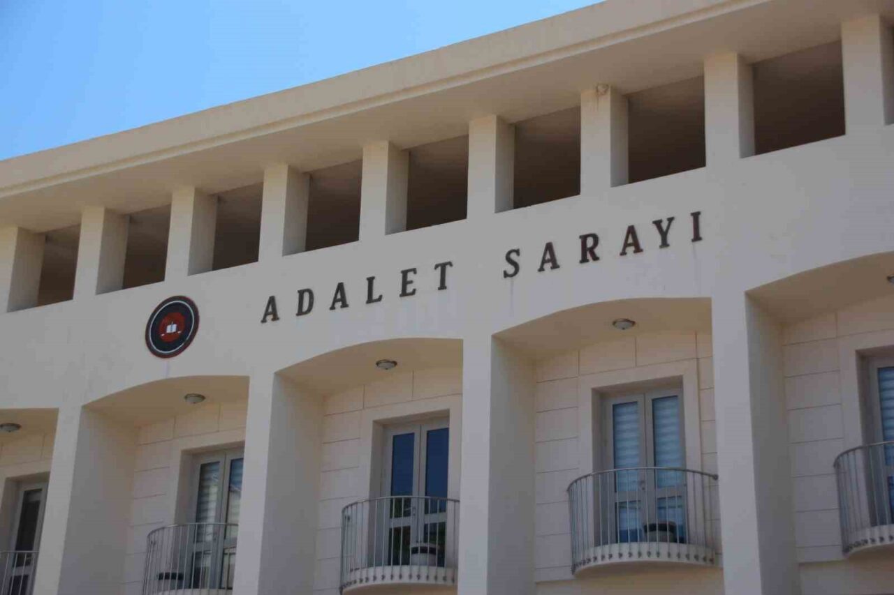 Muğla'nın Bodrum ilçesinde bir kişi, Gümüşlük Mahallesi'nde yavru köpeklere tüfekle