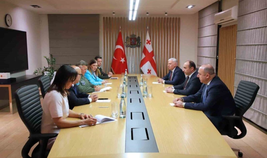 Gürcistan İçişleri Bakanı Gela Geladze, Türk Hava Kuvvetleri'nin Denetleme Başkanı