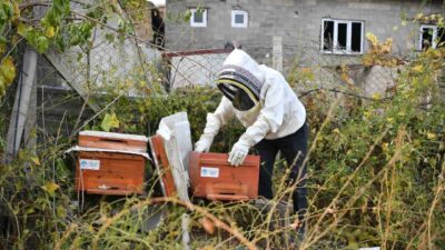 Kayseri Büyükşehir Belediye Başkanı Dr. Memduh Büyükkılıç’ın ‘Kovan Sizden Arı